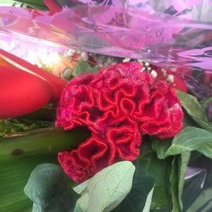 Meet your Posher, Bassmah